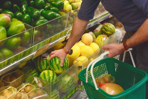 Man pick to buy dwarf watermelon in supermarket or grocery store. Close up view on hand.