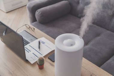 Ev ofisinin iş yerinde görece nem ve mikro iklimi korumak için iş yerinde ev tipi nemlendirici, dizüstü bilgisayar ve belgelerle.