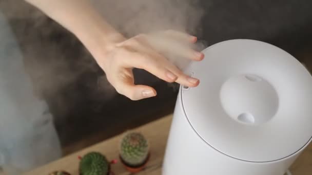 Umidificador doméstico espalhando vapor na sala de estar mão tocando vapor — Vídeo de Stock