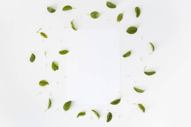 Beyaz arka planda yapraklar ve boş beyaz kart, Üst Manzara. Düz yatıyordu. Model.