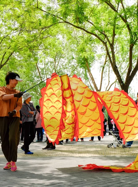 Danza de seda tradicional china en un parque . — Foto de Stock