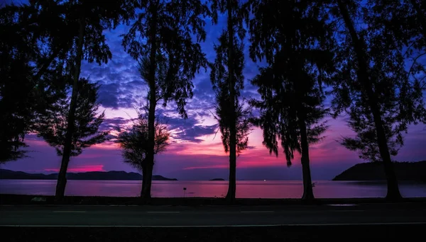 Le nuage de coucher de soleil coloré à la plage du soir avec foregro arbre — Photo