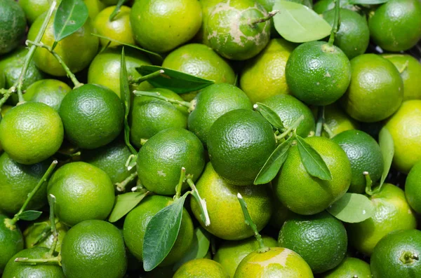 Doğal meyve bahçesi dan yeşil Kamkat.