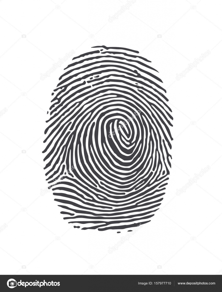 Black and White Vector Fingerprints Very accurately scanned Stock