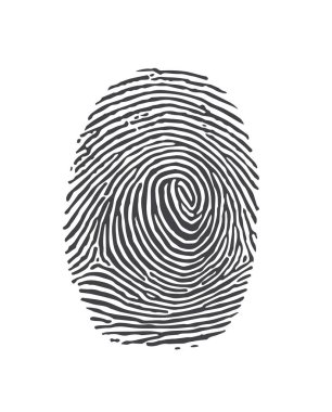 Siyah ve beyaz vektör parmak - çok doğru inceden inceye gözden geçirmek