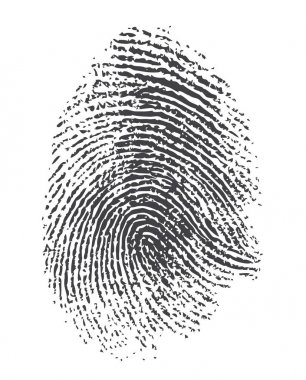  Vector Fingerprints - Very accurately scanned clipart