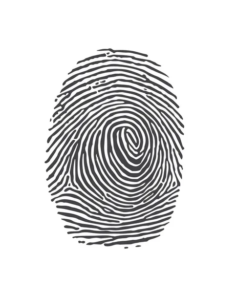Black and White Vector Fingerprints - Very accurately scanned — Stock Vector