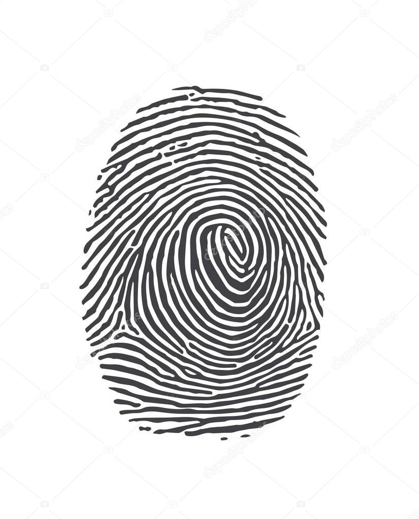 Black and White Vector Fingerprints - Very accurately scanned