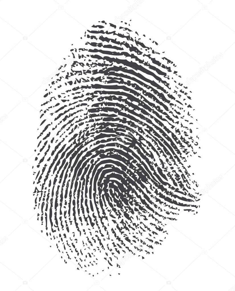  Vector Fingerprints - Very accurately scanned