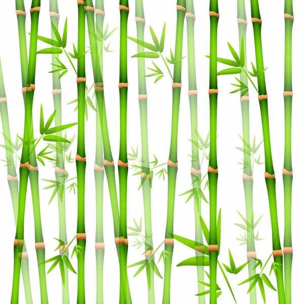 Ilustração vetorial de fundo com bambu realista — Vetor de Stock