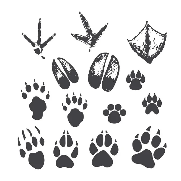 Vector paw prints of animals and birds Royalty Free Stock Illustrations