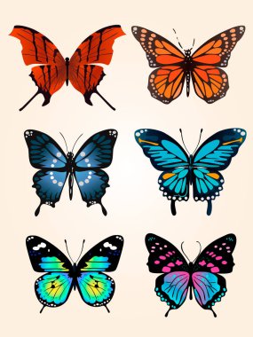 Beyaz bir arka plan üzerinde uçan parlak mavi kelebek ve turuncu monarch kelebek