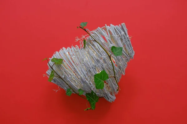 Figura do coração em uma mesa vermelha com planta — Fotografia de Stock