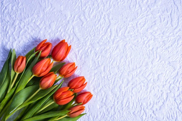 Kytice červených tulipánů na stůl — Stock fotografie