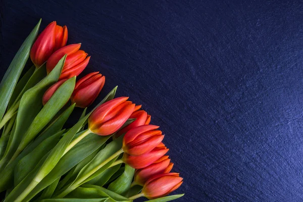 Kytice červených tulipánů leží na kameni — Stock fotografie