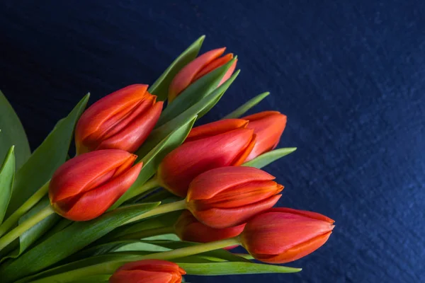 Na kameni leží kytici červených tulipánů — Stock fotografie