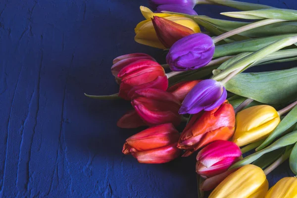 Csokor piros és rózsaszín-kék tulipán az asztalon — Stock Fotó