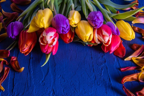 Tulipány na rozprostřeném stole poblíž okvětních lístků — Stock fotografie