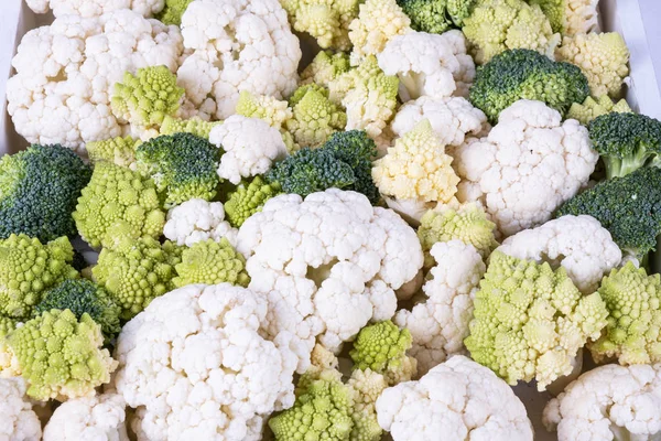 Lot Broccoli Cauliflower Table White Background — Stock Photo, Image