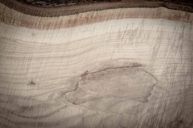 Bir dilimdeki ağaç kabuğu ve ağaç çok yakındır, arka plan, kahverengi