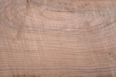 Ağaç stilinde güzel bir arkaplan ve dilimdeki bir ağaç çok yakın, kahverengi