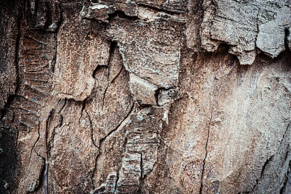 Kırpılmış Ahşap Zemin Çok Yakın Kahverengi — Stok fotoğraf