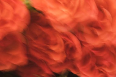 soyut turuncu, yanan ve bulanık arkaplan, arka plan, yakın plan, kapak