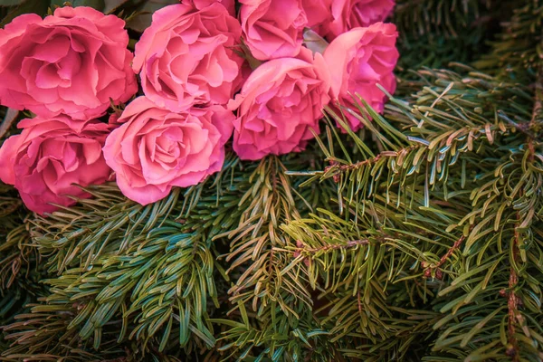 Букет Роз Сосновых Ветвях Розы Розы Сосны Растения Лепестки Цветов — стоковое фото