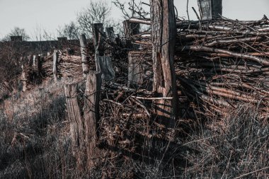 Baharda eski çalılar, ağaç dalları ve çimenler