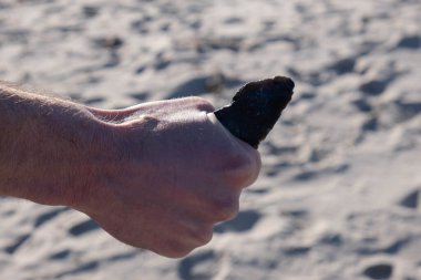 Deniz kıyısındaki bir adamın elinde antik insanların taş aletleri