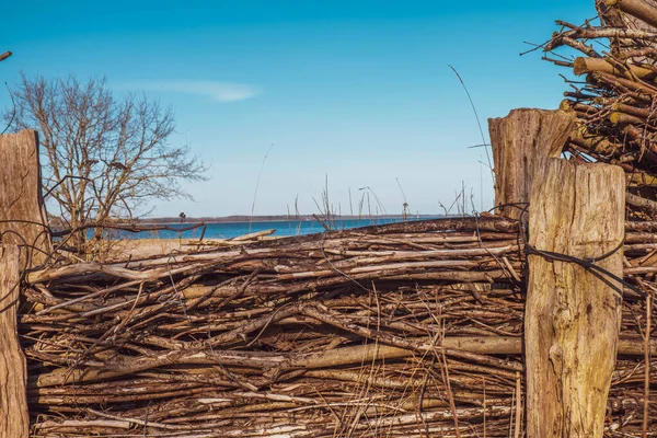 Baharda Deniz Ufku Eski Çitler Ağaç Dalları Çimenler — Stok fotoğraf
