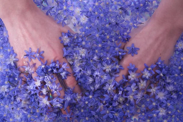 Die Hände Sind Wasser Getaucht Viele Junge Frühlingsblumen Wasser Schwimmen — Stockfoto