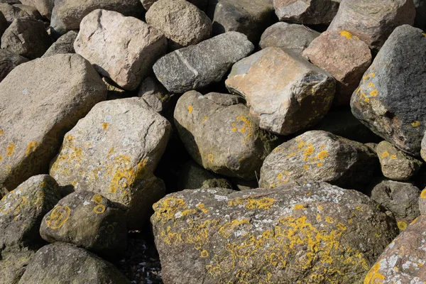 Viejas Piedras Grandes Orilla Del Mar Cubiertas Algas Musgo Primavera — Foto de Stock