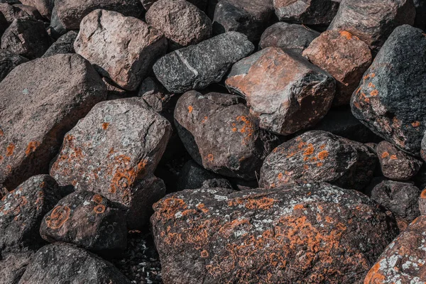 Piedras Granito Orilla Del Mar Cubiertas Algas Musgo Primavera — Foto de Stock