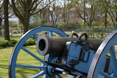 İlkbaharda deniz kıyısında çekirdek fırlatan kadim bir top duruyor.