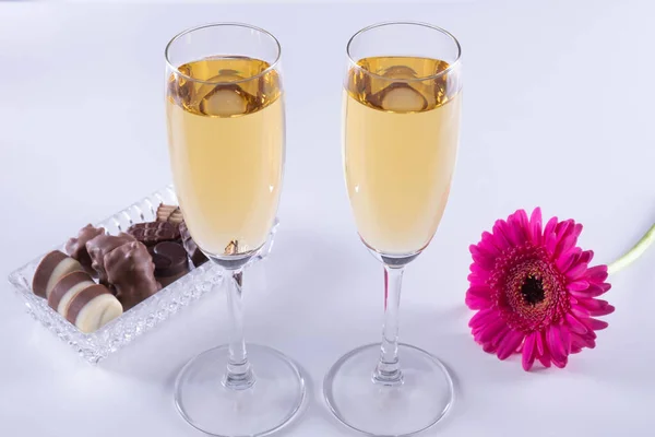 Bir Gerbera Çiçeği Tomurcuğu Şampanya Çikolata Beyaz Arka Planda Bir — Stok fotoğraf