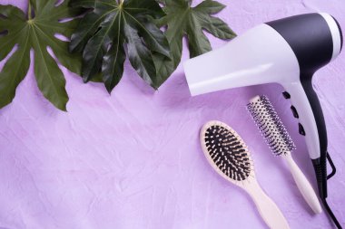 Beyaz saç kurutma makinesi ve iki tarak, yeşil yaprakların ve beyaz arka plandaki her şeyin yanında dokusal bir arka planda yatıyor.