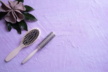 iki tarak dokunun arka planında, yeşil bir yaprak ve süsleme üzerinde ve her şey beyaz arkaplanda.