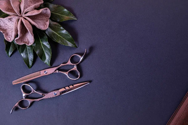 scissors for a hairdresser and decoration made of wood and leaves lie on a textural background and everything on a blue background