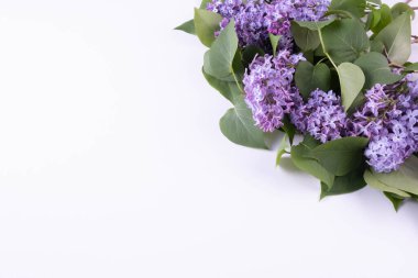 Bahar leylağı çiçekli dallar beyaz bir arka planda masanın üstünde uzanır.