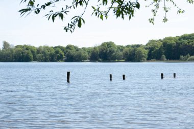 Baharın ılık bir bahar gününde, kıyıdan güzel mavi göl manzarası