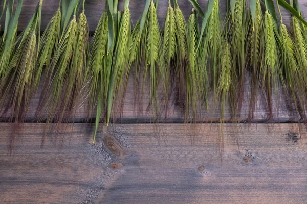 Nyklippta Gröna Öron Korn Uppifrån Ett Bord Trä Bakgrund — Stockfoto