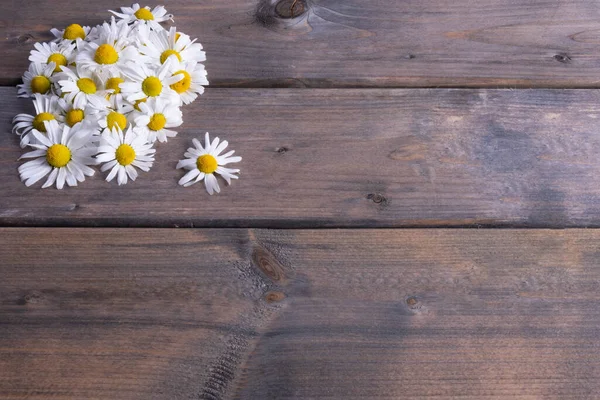 healing chamomile flowers and fresh ears of barley on a table on a wooden background