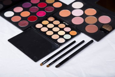 renkli göz farı paleti ve allık makyaj closeup için