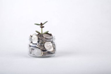 Kavram. Tasarruf paralar - yatırım ve Interes büyüyen bitki