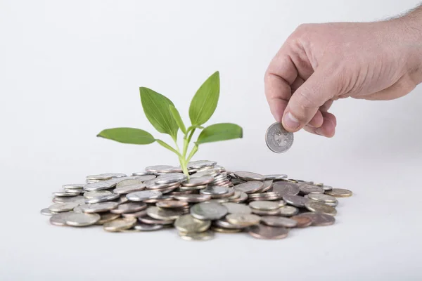 Kavram. Tasarruf paralar - yatırım ve Interes büyüyen bitki