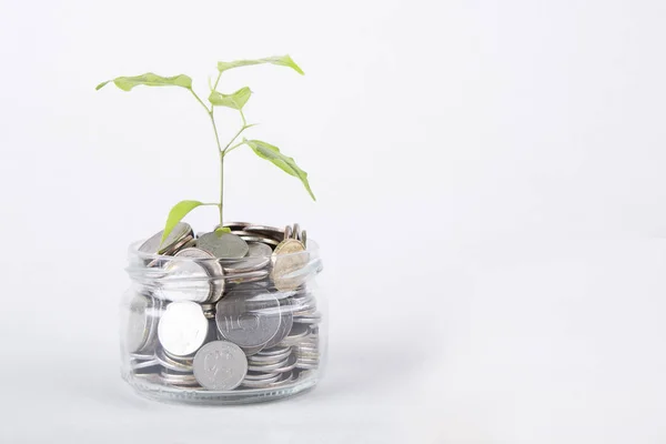 Kavram. Tasarruf paralar - yatırım ve Interes büyüyen bitki