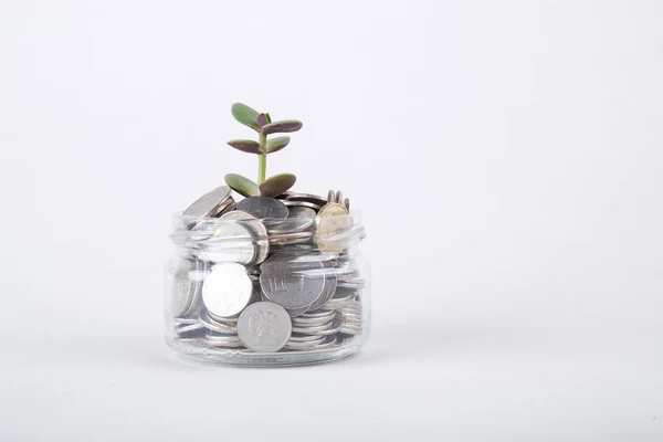 Kavram. Tasarruf paralar - yatırım ve Interes büyüyen bitki