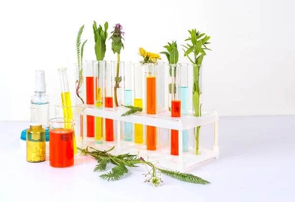 Flowers and plants in test tubes. Experiment. The concept of biological research. On white background