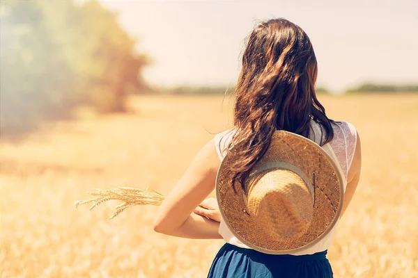 Konsept - buğday tarlasında yürüyen şapkalı güzel bir genç kadın. Arkadan manzara.